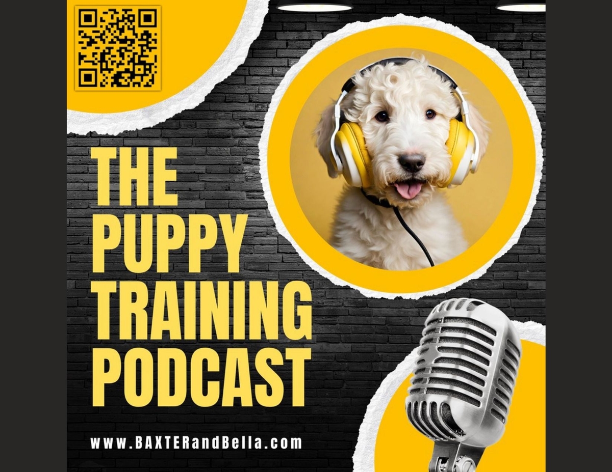 The Puppy Training Podcast